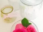 Rosen nicht zum Fernseher stellen