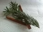 Badezusatz aus Tannennadeln herstellen