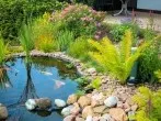 Gartenteich reinigen - bitte Teichlebewesen berücksichtigen