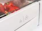 Gemüse richtig lagern