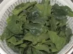Spinatsalat