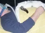 Ursachen und Folgen der Schlafapnoe