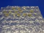 Gebrauchte Knopfzellen lagern