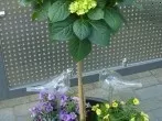 Gläserne Blumen-Wasserspender reinigen