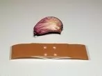 Mit Knoblauch gegen (Dorn)Warzen
