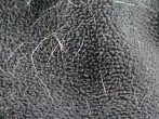 Tierhaare mit einem feuchten Lappen entfernen