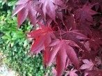 10 Fakten zum Herbst: Jetzt mit Quiz