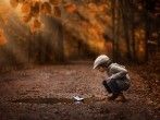 Die Herbstkinder - meine kleine Gute-Nacht-Geschichte