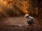 Die Herbstkinder - meine kleine Gute-Nacht-Geschichte