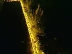 Weihnachtsdeko: Mit Lichterkette das Beet umranden!