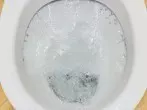 Kalkablagerungen im WC entfernen, bis unter den Rand