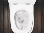 Verstopfte Toilette freibekommen