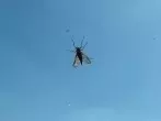 Bei Insektenstichen: Wasser und Speisenatron