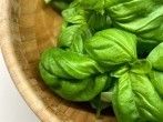 <strong>Basilikumpesto</strong> ohne Parmesan