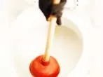 Toilette verstopft - nie mit Pulver arbeiten!