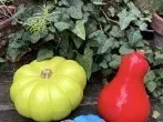 Kürbis bemalen in knalligen Farben