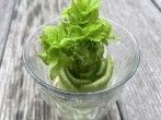 Regrowing: Aus <strong>Gem&uuml;seresten</strong> neues <strong>Gem&uuml;se</strong> ziehen
