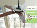 Deckenventilator Test & Vergleich: 8 Empfehlungen