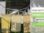 Wäschespinne Test & Vergleich: 6 günstige Empfehlungen