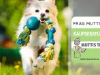 Hundespielzeug Test & Vergleich: 5 günstige Empfehlungen