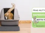 Katzenklos Test & Vergleich: 6 günstige Empfehlungen
