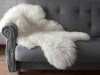 Schaffell mit Hundeshampoo reinigen