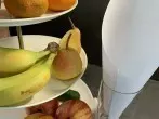 Fruchtfliegen lebend fangen