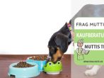 Hundefutter Test & Vergleich 2026: 6 g&uuml;nstige Empfehlungen