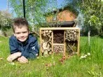 Wie baue ich ein Insektenhotel?