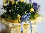 Richtig Blumen gießen