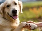15 Begrüßungen weltweit – Griaß di, Ciao und Namaste #FunFriday