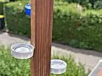 Tränke für Insekten herstellen