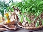 Self-Care mit Ina: Estragon - w&uuml;rzen und heilen