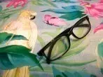 Spartipp: Gleitsichtbrille + gratis Sonnenbrille