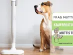 Tierhaarstaubsauger Test & Vergleich: 6 günstige Empfehlungen