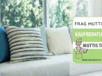 Sofakissen Test & Vergleich: 6 günstige Empfehlungen