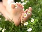 Self-Care mit Ina: G&auml;nsebl&uuml;mchen &ndash; Liebesorakel und N&auml;hrstoffbombe