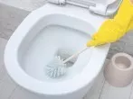 Toilette reinigen mit Gebissreiniger