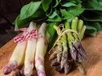 Frischen Spargel erkennen, lagern & zubereiten