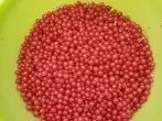 Johannisbeeren ernten - Trick mit einer Gabel