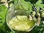 DIY - Wasserstelle für Vögel und Insekten