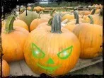 Halloween ohne Konsumstress - 5 humorvolle Tipps