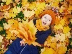 Warum werden Blätter im Herbst bunt?