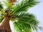 "Bernhards Welt" &ndash; das Frag Mutti-Team geht auf die Palme