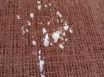 Kerzenwachs aus Stoff entfernen – schnell und kinderleicht