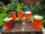 <strong>Quittengelee</strong> bringt die Sonne ins Glas