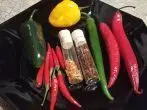 Chili: Sorten, Tipps und Schärfe neutralisieren