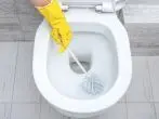 Toilette mit Hausmitteln reinigen – Anleitung und Tipps