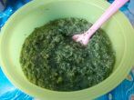 M&ouml;hrengr&uuml;n-Pesto mit <strong>Haseln&uuml;ssen</strong>