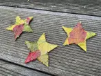 Sterne mit Herbstlaub basteln – DIY Anleitung